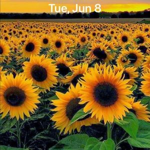 Meet your Posher, Gracia